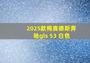 2025款梅赛德斯奔驰gls 53 白色